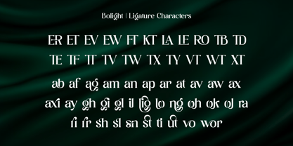 Bolight Font Poster 14