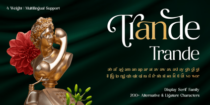 Bolight Font Poster 9