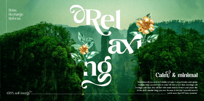 Bolight Font Poster 4