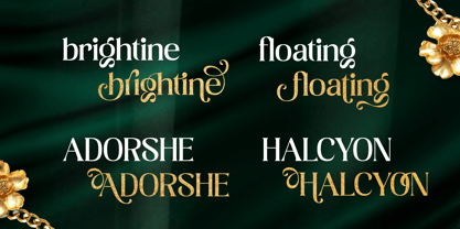 Bolight Font Poster 8