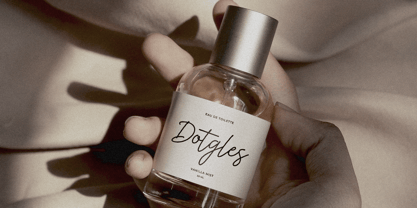 Busted Soul Font Poster 8