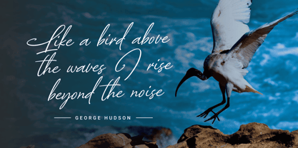 Arlanda Script Font Poster 2