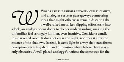 Analogy Font Poster 8