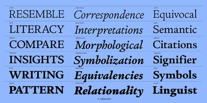 Analogy Font Poster 2
