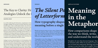 Analogy Font Poster 6