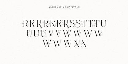The Softly Serif Font Poster 14