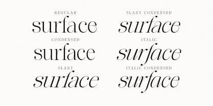 The Softly Serif Font Poster 4