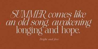 The Softly Serif Font Poster 5