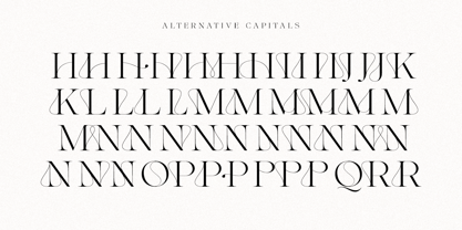 The Softly Serif Font Poster 13