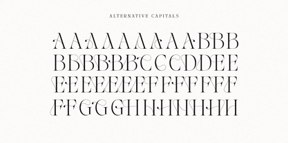 The Softly Serif Font Poster 12