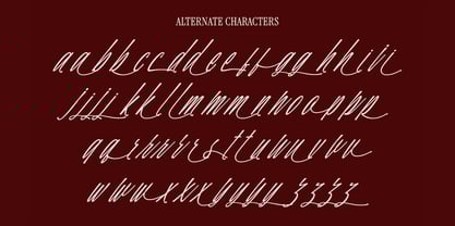 Hadley Enigmatic Font Poster 10