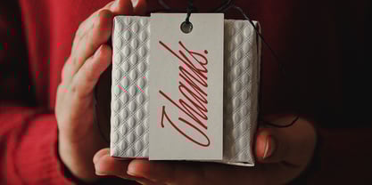 Hadley Enigmatic Font Poster 11