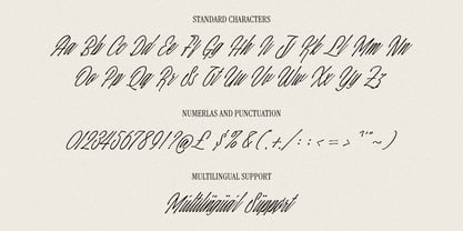 Hadley Enigmatic Font Poster 9