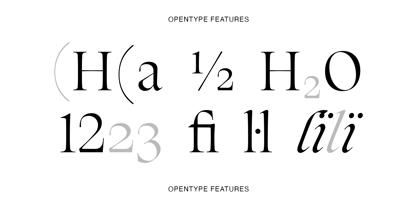 Silene Font Poster 5