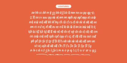 Kaplery Sparkle Font Poster 14