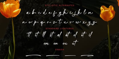 Khalisa Signature Font Poster 7