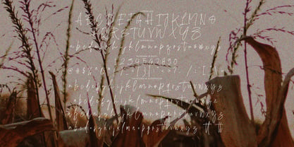 Falsoky Signature Brush Font Poster 8