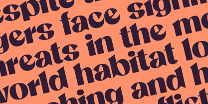 Claven Font Poster 7