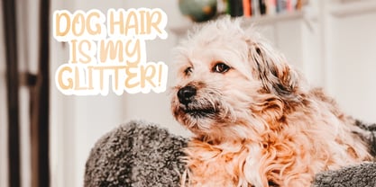 Cinta Suci Font Poster 3