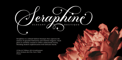 Bergstena Script Font Poster 4