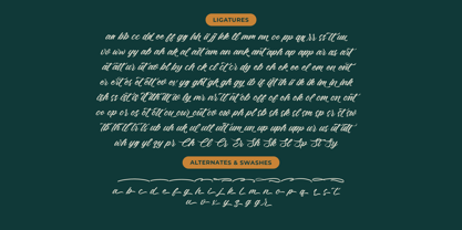 Rustical Banley Font Poster 15