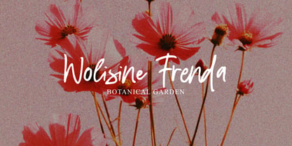 Diravest Signature Brush Font Poster 5