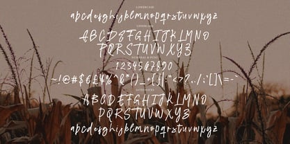 Diravest Signature Brush Font Poster 7