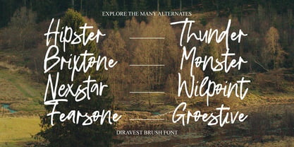 Diravest Signature Brush Font Poster 2
