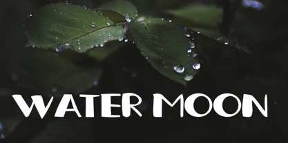 Kispray Font Poster 5