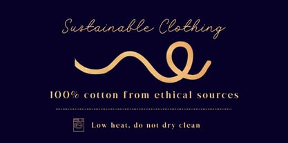 Fox Aurelia & Fox Radiant Font Poster 7