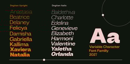 Degitan Font Poster 8