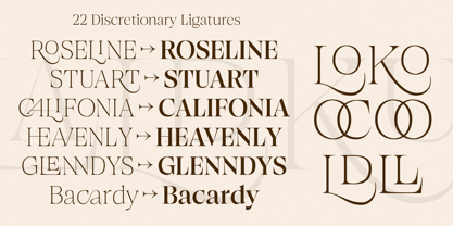 Browne de Calvin Font Poster 7