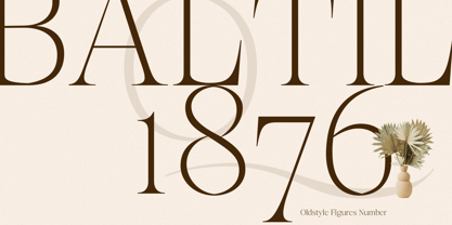 Browne de Calvin Font Poster 9