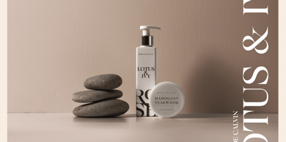 Browne de Calvin Font Poster 3