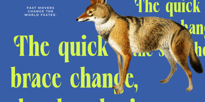 Vardent Font Poster 7