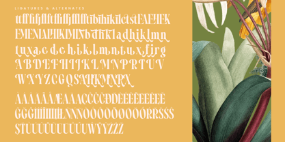 Qastife Font Poster 14