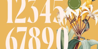 Qastife Font Poster 8