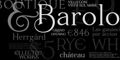 Luxurimo Font Poster 5