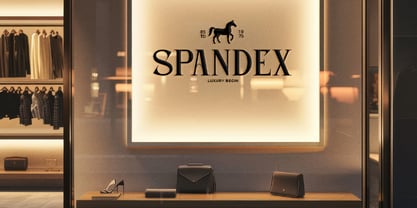 Eclassio Font Poster 7