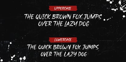 Gowar Brush Font Poster 4