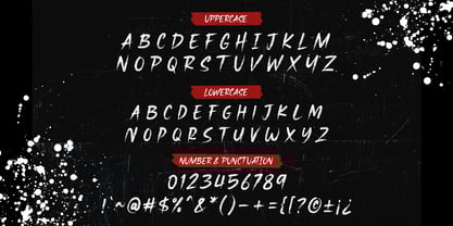 Gowar Brush Font Poster 6