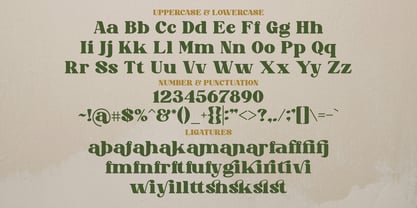 Mango Dolce Display Font Poster 8