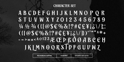 Brillante Siempre Font Poster 12