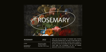 Tricky Avenue Font Poster 2