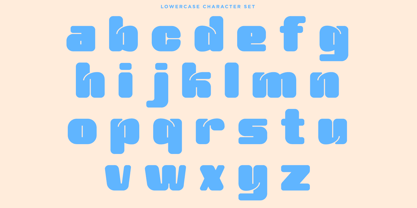 Sicker Font Poster 12