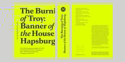 Eclectica Font Poster 12