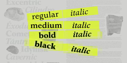 Eclectica Font Poster 5