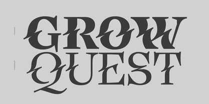 Eclectica Font Poster 4