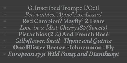 Eclectica Font Poster 2