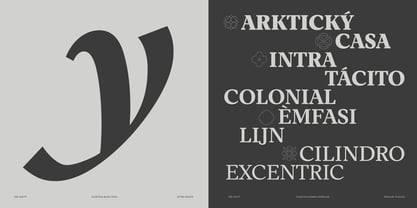 Eclectica Font Poster 13